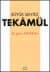 Büyük Sentez Tekamül