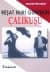 Çalıkuşu: Gençler İçin