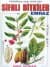 Şifalı Bitkiler ve Emraz