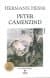 Peter Camenzind