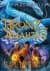 Bronz Anahtar (Magisterium, #3)