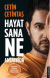Hayat Sana Ne Anlatıyor