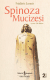Spinoza Mucizesi