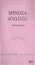 Spinoza Sözlüğü