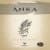 Anka (2. Kitap)