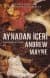 Aynadan İçeri